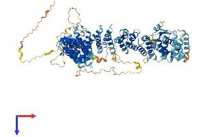 AlphaFold protein structure predicition of Human Recombinant TEX10 Protein, UniprotID Q9NXF1
