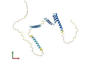 AlphaFold protein structure predicition of Mouse Recombinant Eif3j1 Protein, UniprotID Q3UGC7