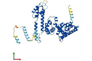 Protein Structure (PS) image for Protein Phosphatase 2, Regulatory Subunit B'', gamma (PPP2R3C) (AA 1-453) protein (His tag) (ABIN7561619)