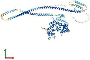 Protein Structure (PS) image for Translin-Associated Factor X Interacting Protein 1 (Tsnaxip1) (AA 1-704) protein (His tag) (ABIN7560448)