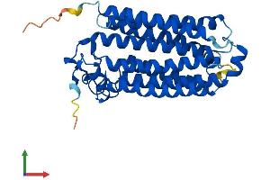 AlphaFold protein structure predicition of Mouse Recombinant Paqr5 Protein, UniprotID Q9DCU0