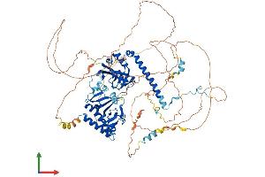 Protein Structure (PS) image for Ring Finger Protein 10 (RNF10) (AA 1-811) protein (His tag) (ABIN7551529)