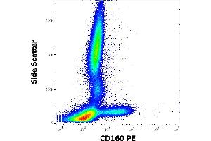 Flow cytometry surface staining pattern of human peripheral whole blood stained using anti-human CD160 (BY55) PE antibody (10 μL reagent / 100 μL of peripheral whole blood).