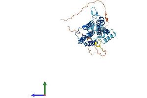 Protein Structure (PS) image for Sphingomyelin Synthase 2 (SGMS2) (AA 1-365) protein (His tag) (ABIN7560980)