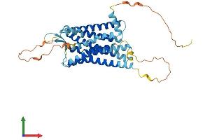 Protein Structure (PS) image for Arginine Vasopressin Receptor 2 (AVPR2) (AA 1-371) protein (His tag) (ABIN7545055)
