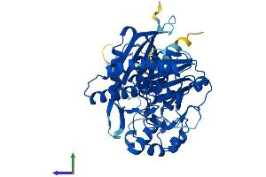 Protein Structure (PS) image for Sedoheptulokinase (SHPK) (AA 1-476) protein (His tag) (ABIN7561013)