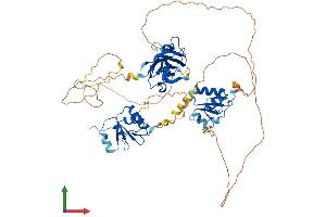 AlphaFold protein structure predicition of Human Recombinant XRCC1 Protein, UniprotID P18887