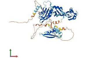 Protein Structure (PS) image for RNA Binding Motif Protein 46 (RBM46) (AA 1-533) protein (His tag) (ABIN7556767)