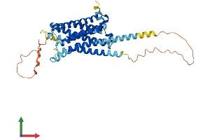 Protein Structure (PS) image for Serotonin Receptor 1B (HTR1B) (AA 1-386) protein (His tag) (ABIN7563046)