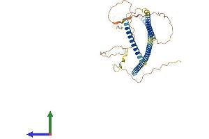 Protein Structure (PS) image for 5-Azacytidine Induced 2 (AZI2) (AA 1-392) protein (His tag) (ABIN7552492)