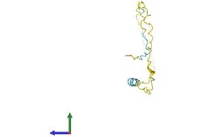 AlphaFold protein structure predicition of Human Recombinant XAGE2 Protein, UniprotID Q96GT9