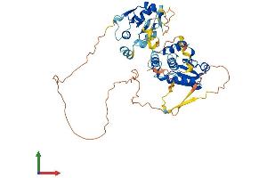 Protein Structure (PS) image for Dual Specificity Phosphatase 10 (DUSP10) (AA 1-483) protein (His tag) (ABIN7561481)