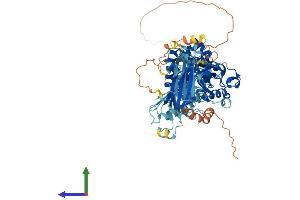 Protein Structure (PS) image for SEC14-Like 1 (SEC14L1) (AA 1-715) protein (His tag) (ABIN7562022)
