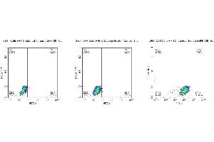 FACS Analysis of Anti-EGFRVIII CAR Expression.