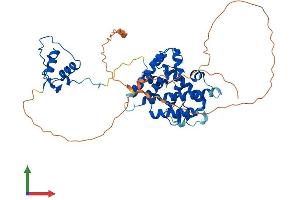 Protein Structure (PS) image for Hepatocyte Nuclear Factor 4, alpha (HNF4A) (AA 1-474) protein (His tag) (ABIN7563345)