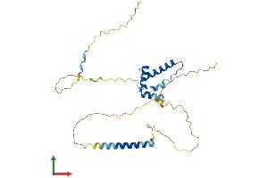 AlphaFold protein structure predicition of Mouse Recombinant Tipin Protein, UniprotID Q91WA1