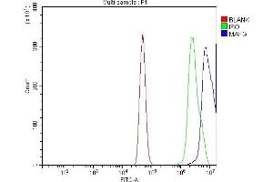 Flow Cytometry analysis of A431 cells using anti-MAFG antibody (ABIN7602901).