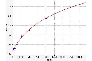 Typical standard curve (HOXB7 ELISA 试剂盒)