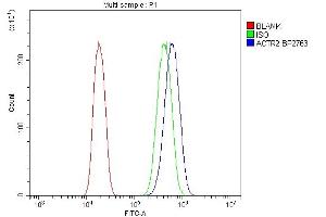 Flow Cytometry analysis of A431 cells using anti-Arp2/ACTR2 antibody (ABIN7599349).