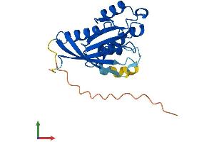 Protein Structure (PS) image for RAB1B, Member RAS Oncogene Family (RAB1B) (AA 1-201) protein (His tag) (ABIN7560882)