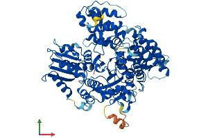 Protein Structure (PS) image for Sec1 Family Domain Containing 2 (SCFD2) (AA 1-684) protein (His tag) (ABIN7545860)