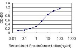 Detection limit for recombinant GST tagged HDAC1 is approximately 0. (HDAC1 抗体  (AA 1-482))