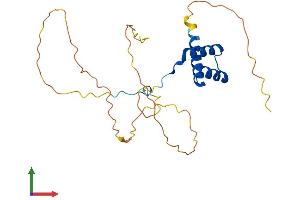 Protein Structure (PS) image for Homeobox C6 (HOXC6) (AA 1-235) protein (His tag) (ABIN7562828)