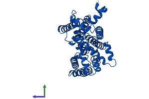 AlphaFold protein structure predicition of Human Recombinant MT-CYB Protein, UniprotID P00156 (Cytochrome b Protein (AA 1-380) (His tag))