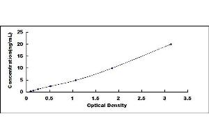 Typical standard curve (SYT17 ELISA 试剂盒)