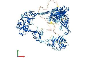 Protein Structure (PS) image for Ubiquitin Specific Peptidase 7 (Herpes Virus-Associated) (USP7) (AA 1-1102) protein (His tag) (ABIN7555927)