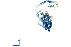 Protein Structure (PS) image for Component of Oligomeric Golgi Complex 7 (COG7) (AA 1-770) protein (His tag) (ABIN7546639)