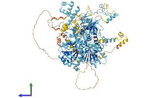 Protein Structure (PS) image for DEAH (Asp-Glu-Ala-His) Box Polypeptide 8 (DHX8) (AA 1-1220) protein (His tag) (ABIN7553665)