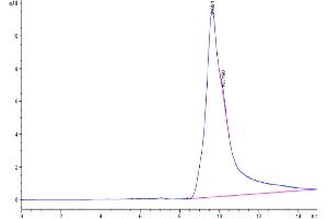 Size-exclusion chromatography-High Pressure Liquid Chromatography (SEC-HPLC) image for CD69 (CD69) (AA 62-199) protein (His tag) (ABIN7274213)