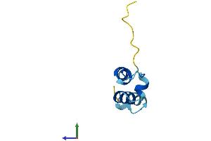 Protein Structure (PS) image for Cytochrome C Oxidase Assembly Factor 5 (COA5) (AA 1-74) protein (Fc Tag) (ABIN7560393)