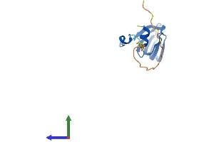 Protein Structure (PS) image for Small Nuclear Ribonucleoprotein D1 Polypeptide 16kDa (SNRPD1) (AA 1-119) protein (His tag) (ABIN7556604)