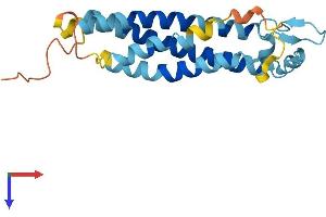 TM4SF4 Protein (AA 1-202) (His tag)