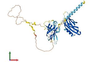 Protein Structure (PS) image for Synaptotagmin XV (SYT15) (AA 1-418) protein (His tag) (ABIN7559174)