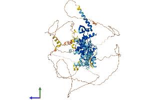 Protein Structure (PS) image for Gen Endonuclease Homolog 1 (GEN1) (AA 1-908) protein (His tag) (ABIN7564398)