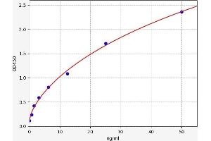 Typical standard curve (IgG2a ELISA 试剂盒)