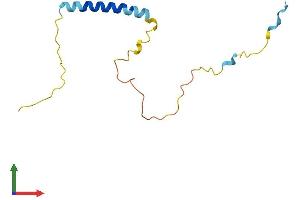 Protein Structure (PS) image for Melan A (MLANA) (AA 1-118) protein (His tag) (ABIN7549319)