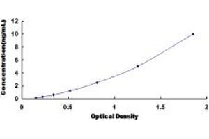 Typical standard curve (LEFTY1 ELISA 试剂盒)