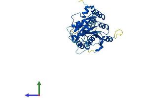 AlphaFold protein structure predicition of Mouse Recombinant B3galnt1 Protein, UniprotID Q920V1