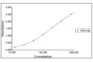 Standard Curve Graph (IgG ELISA 试剂盒)