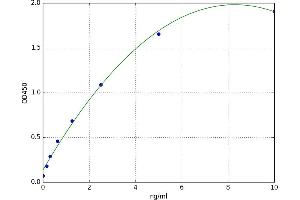 A typical standard curve (UBE2C ELISA 试剂盒)
