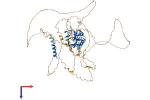 AlphaFold protein structure predicition of Human Recombinant ZCWPW1 Protein, UniprotID Q9H0M4
