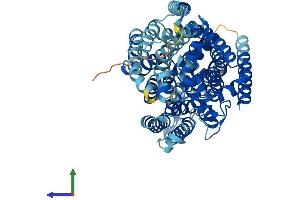 AlphaFold protein structure predicition of Mouse Recombinant Slc5a10 Protein, UniprotID Q5SWY8