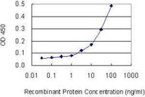 Detection limit for recombinant GST tagged SLC4A8 is 1 ng/ml as a capture antibody. (SLC4A8 抗体  (AA 187-286))