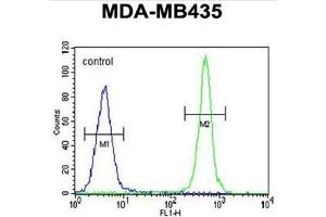 Flow Cytometry (FACS) image for anti-AlkB, Alkylation Repair Homolog 6 (ALKBH6) (AA 123-153), (Middle Region) antibody (ABIN950353)
