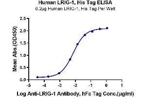 ELISA image for Leucine-Rich Repeats and Immunoglobulin-Like Domains 1 (Lrig1) (AA 35-779) protein (His tag) (ABIN7275205)
