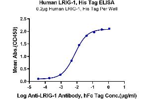 Immobilized Human LRIG1, His Tag at 2 μg/mL (100 μL/Well) on the plate. (Lrig1 Protein (AA 35-779) (His tag))
